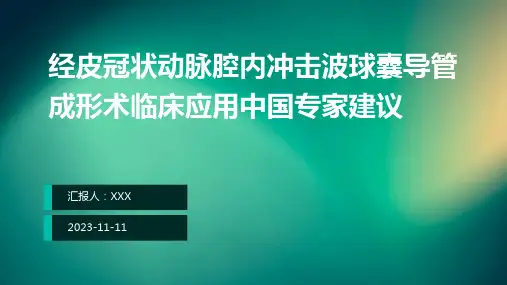 经皮冠状动脉腔内冲击波球囊导管成形术临床应用中国专家建议ppt课件