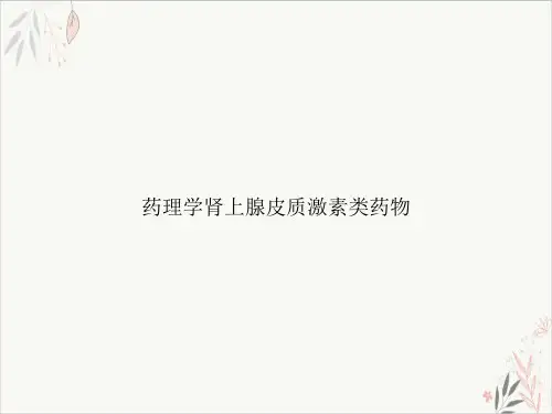 药理学肾上腺皮质激素类药物PPT.