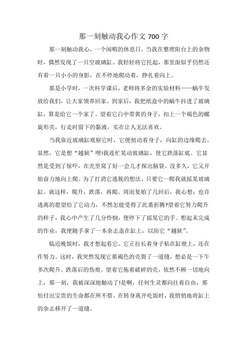 那一刻触动我心作文700字