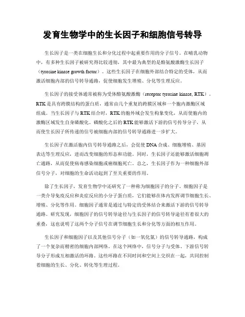 发育生物学中的生长因子和细胞信号转导