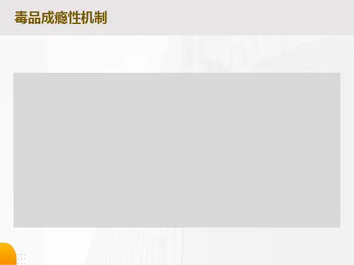 毒品成瘾性机制
