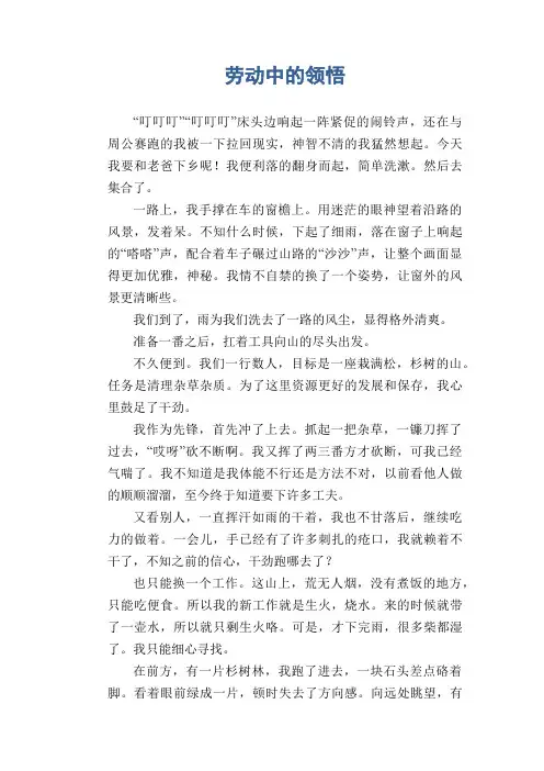 初中生满分作文：劳动中的领悟