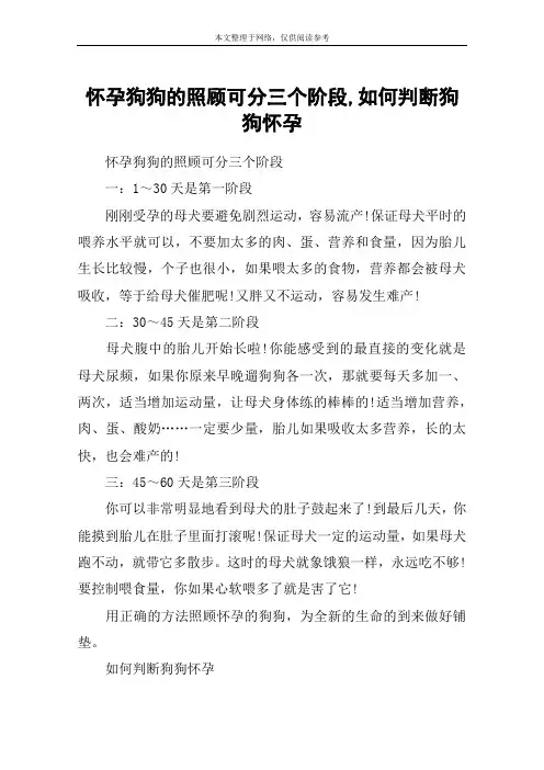 怀孕狗狗的照顾可分三个阶段,如何判断狗狗怀孕