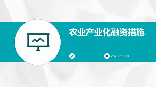 农业产业化融资措施