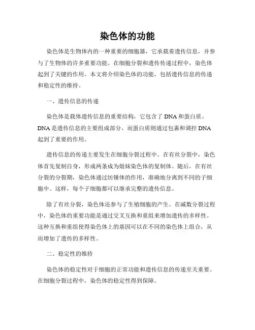 染色体的功能