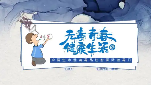 国际禁毒日禁毒安全主题教育PPT (4)