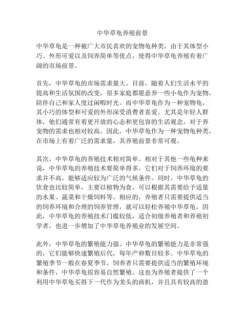 中华草龟养殖前景