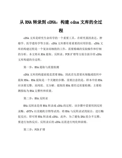 简述cdna文库的构建过程