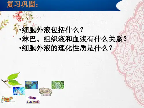 新版人教版高中生物人体的内环境与稳态(32张PPT)学习演示PPT课件