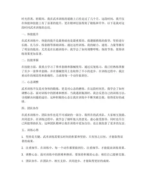 武术个人训练总结范文