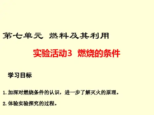 《燃烧的条件》PPT课件1