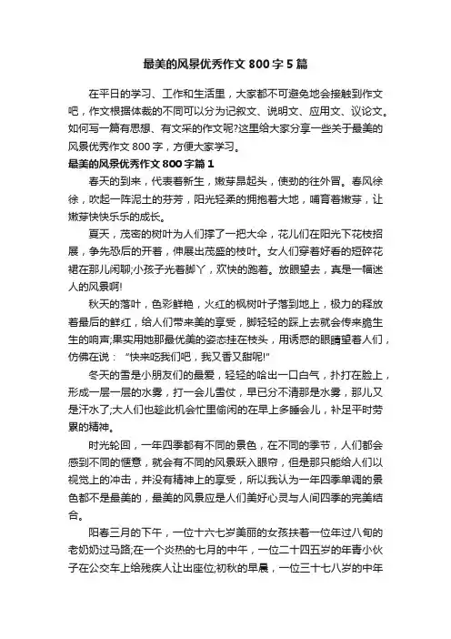 最美的风景优秀作文800字5篇