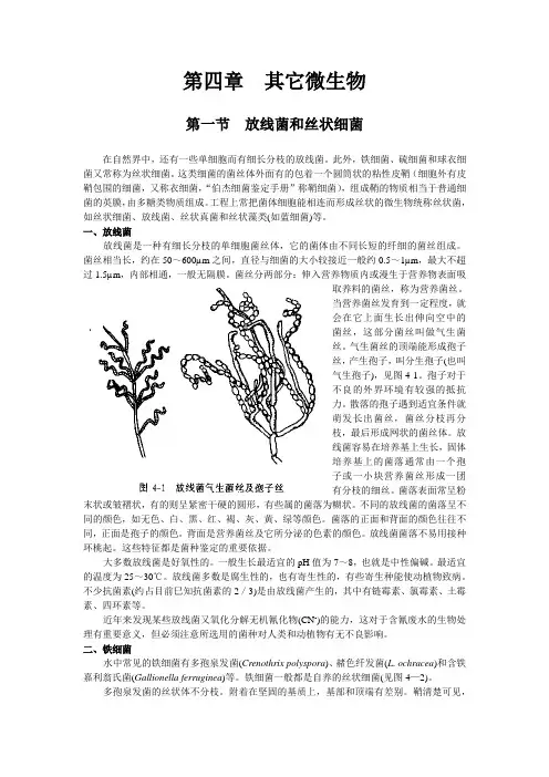 水处理微生物学 第四章  其它微生物