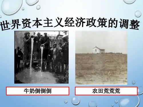 2015高中历史总复习课件：20世界资本主义经济政策的调整