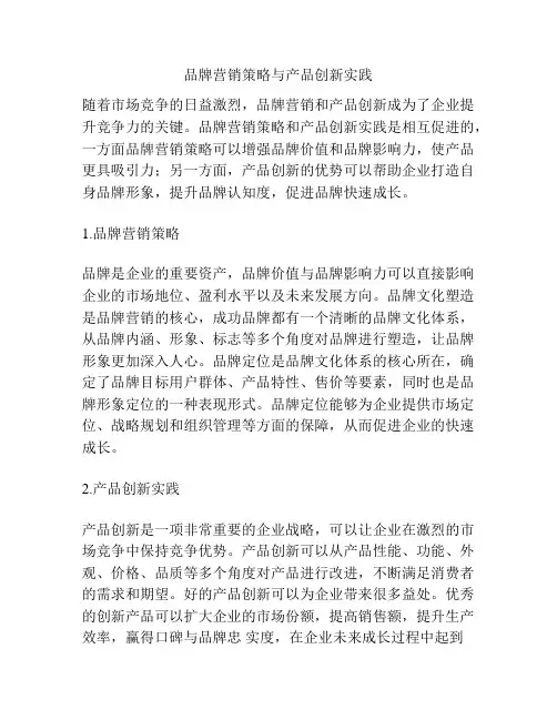 品牌营销策略与产品创新实践