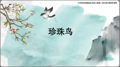《珍珠鸟》教学课件(共28张PPT)