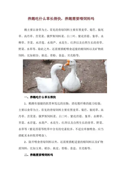 养鹅吃什么草长得快,养鹅需要喂饲料吗