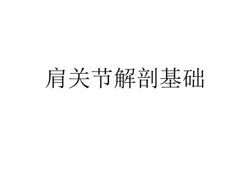 肩关节解剖学基础及就用