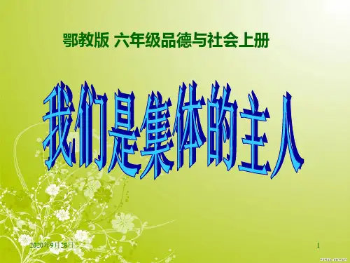 我们是集体的主人PPT课件