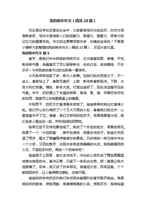 我的新年作文（精选20篇）