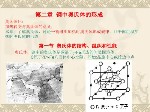 钢中奥氏体的形成