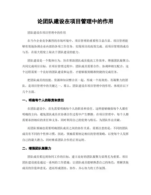 论团队建设在项目管理中的作用
