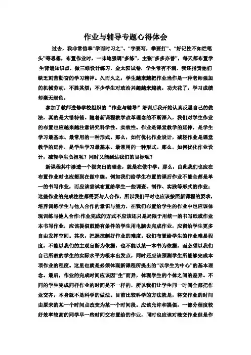 作业与辅导专题心得体会.doc