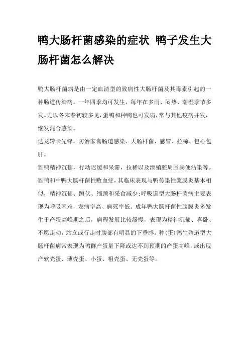鸭大肠杆菌感染的症状 鸭子发生大肠杆菌怎么解决