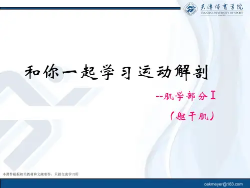 和你一起学习运动解剖-肌学部分