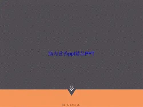 肠内营养ppt精品讲课文档