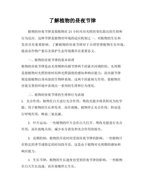 了解植物的昼夜节律