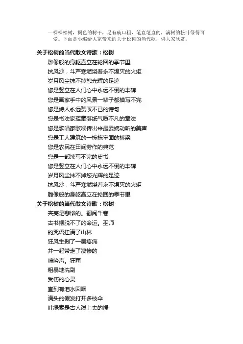 散文：关于松树的当代散文诗歌