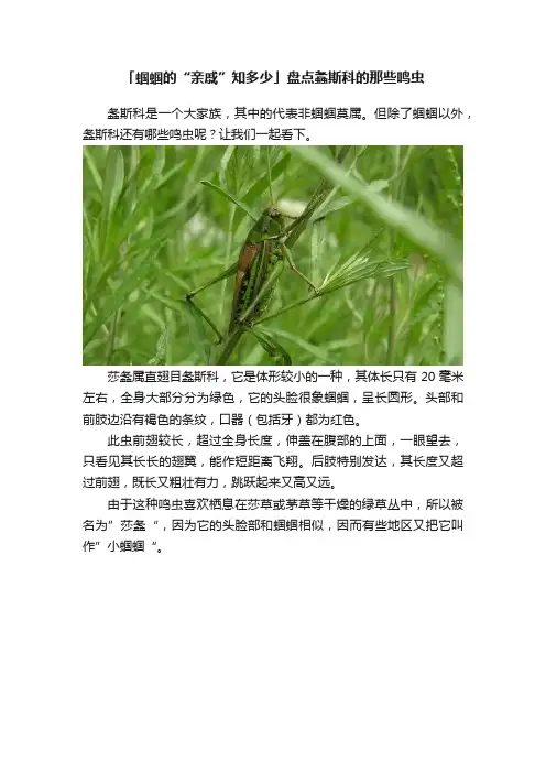 「蝈蝈的“亲戚”知多少」盘点螽斯科的那些鸣虫