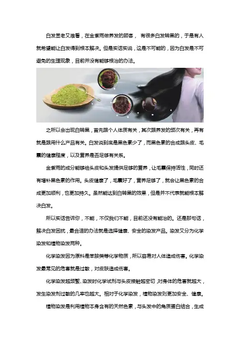 金紫雨养发能治白发吗