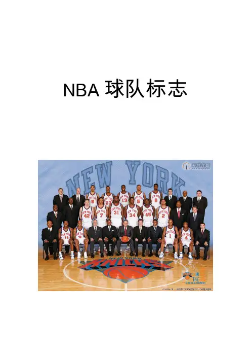 NBA球队标志
