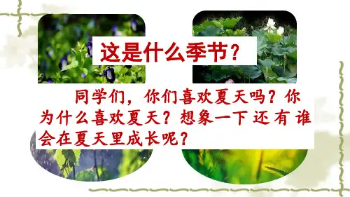 部编版六年级上册语文《15.夏天里的成长》第一课时优秀课件ppt