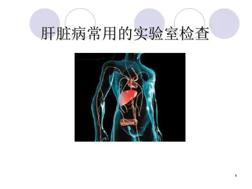 肝脏功能检查ppt课件
