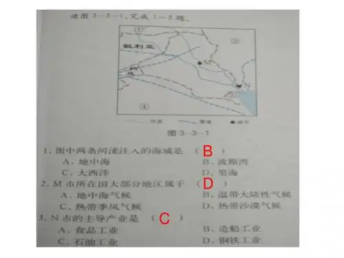 西亚和北非练习