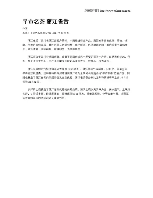 早市名茶 蒲江雀舌