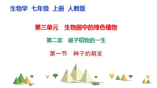  种子的萌发ppt课件
