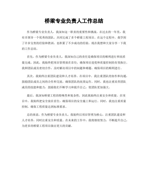 桥梁专业负责人工作总结