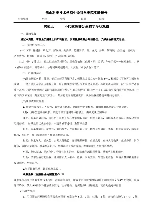 鱼类学实验报告五