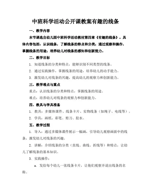 中班科学活动公开课教案有趣的线条