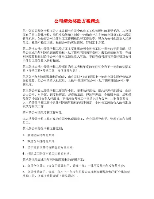 公司绩效奖励方案精选