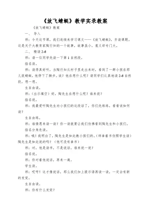 《放飞蜻蜓》教学实录教案