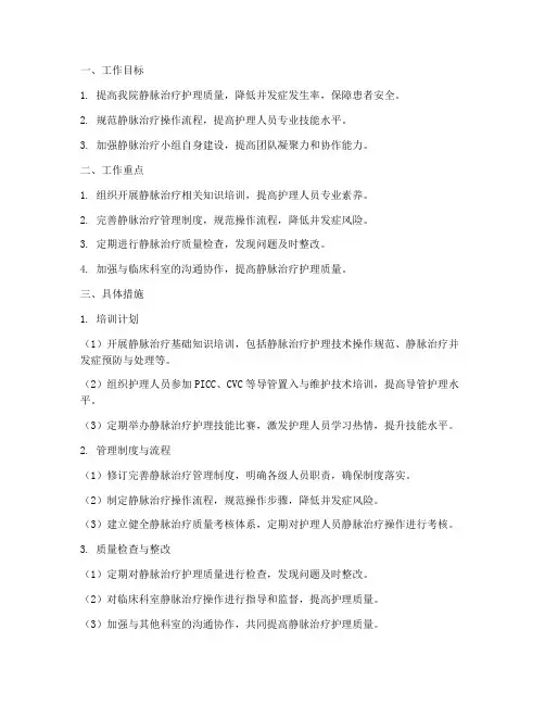 静脉治疗管理小组工作计划