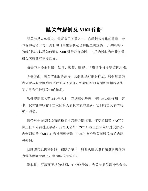 膝关节解剖及MRI诊断