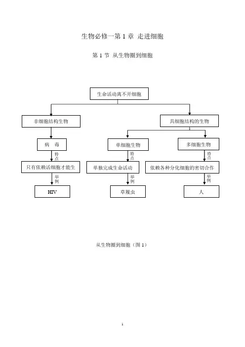 必修一概念图2021-2022学年人教版高中生物