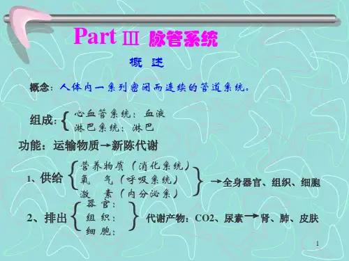 心血管系统解剖学课件ppt演示课件