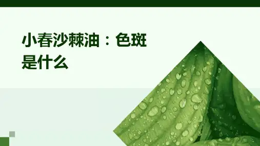 小春沙棘油：色斑是什么课件